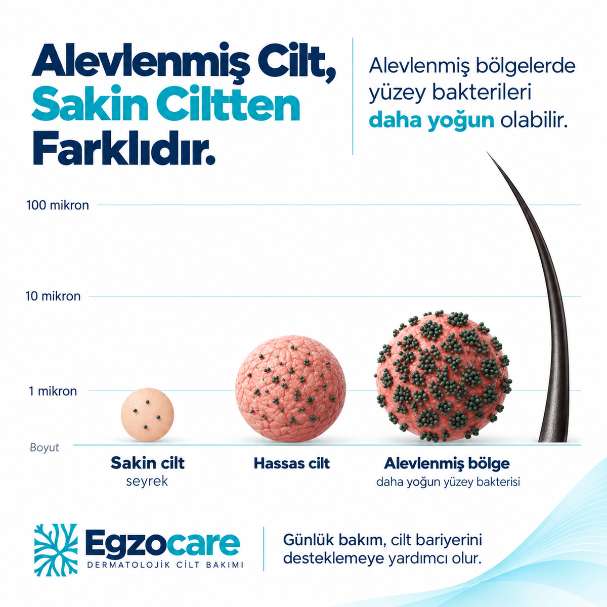 EgzoCare | Egzama Kremi